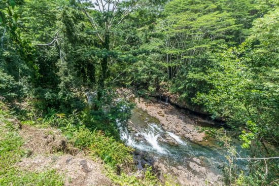 View of Wailuku River from the back of the property